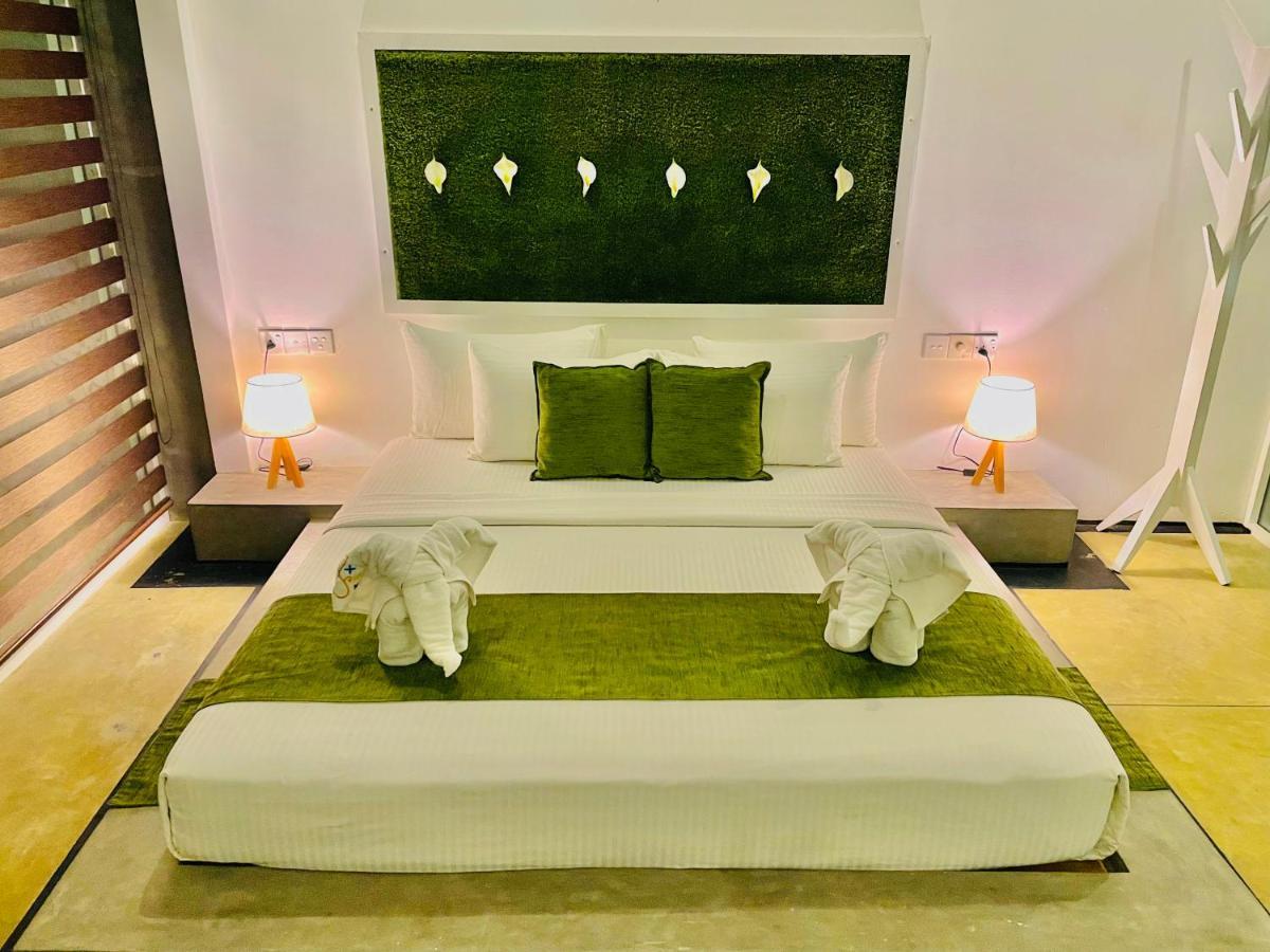 8 Plus Motels Negombo Exterior photo